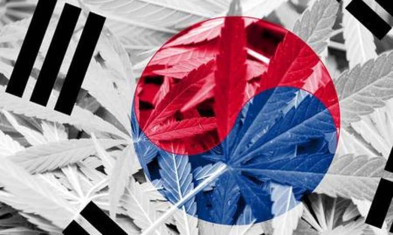 South Korea, First Country in Asia to Legalize Medical Marijuana