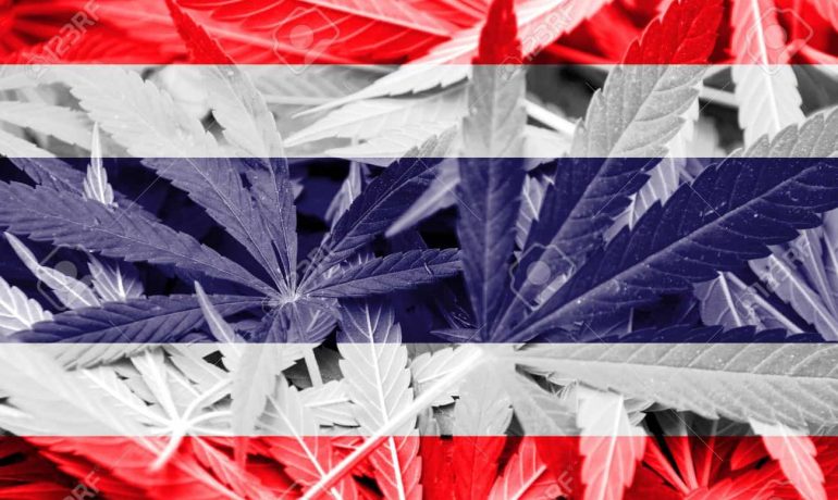 Merry Christmas! Thailand approves Medical Marijuana!