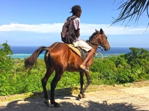 jamaican man riding horse