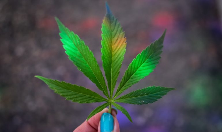 Why You Need to Pay Attention to U.S Cannabis Stocks