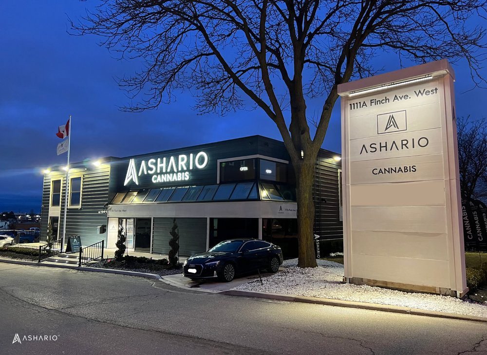 Ashario Cannabis Dispensary North York The Cannabis Business Directory