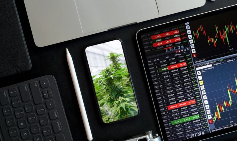 DEA’s Delay on Cannabis Reclassification Hits Stocks Hard